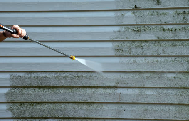 Best Office Mold Removal Services  in Nashville, IN