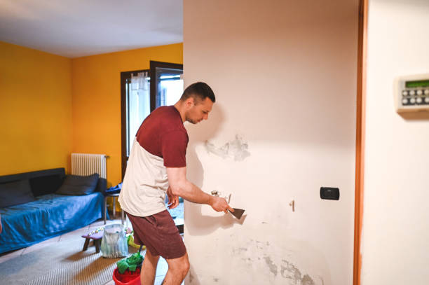 Best Local Mold Removal Service  in Nashville, IN